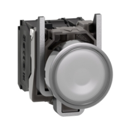 XB4BW31G5
