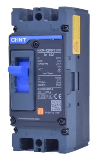 Breaker de caja moldeada Chint -2 Polos 250A