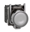 XB4BW31G5